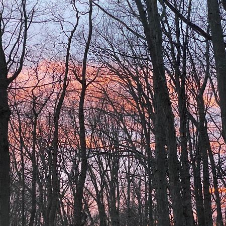 The Sanctuary At Deer Dune , Saugatuck Exterior photo