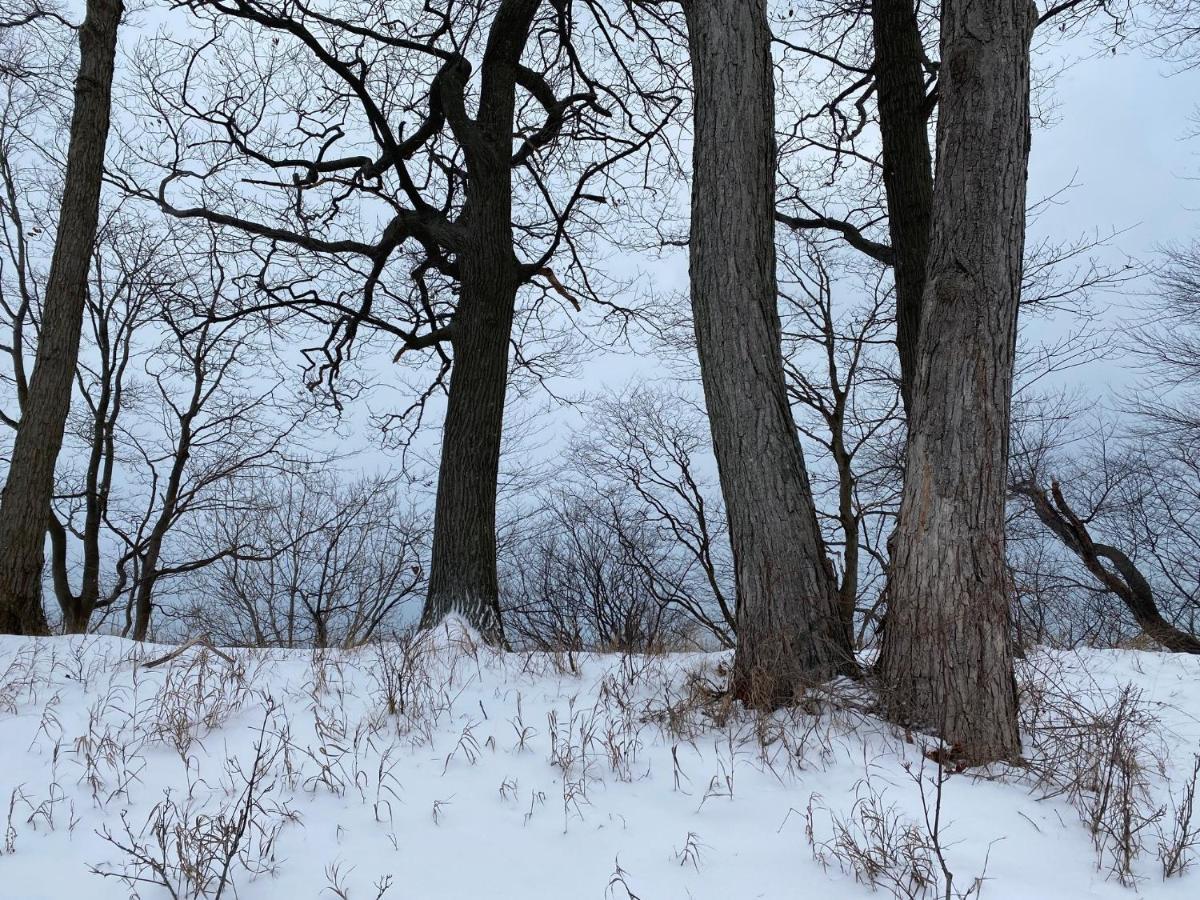 The Sanctuary At Deer Dune , Saugatuck Exterior photo