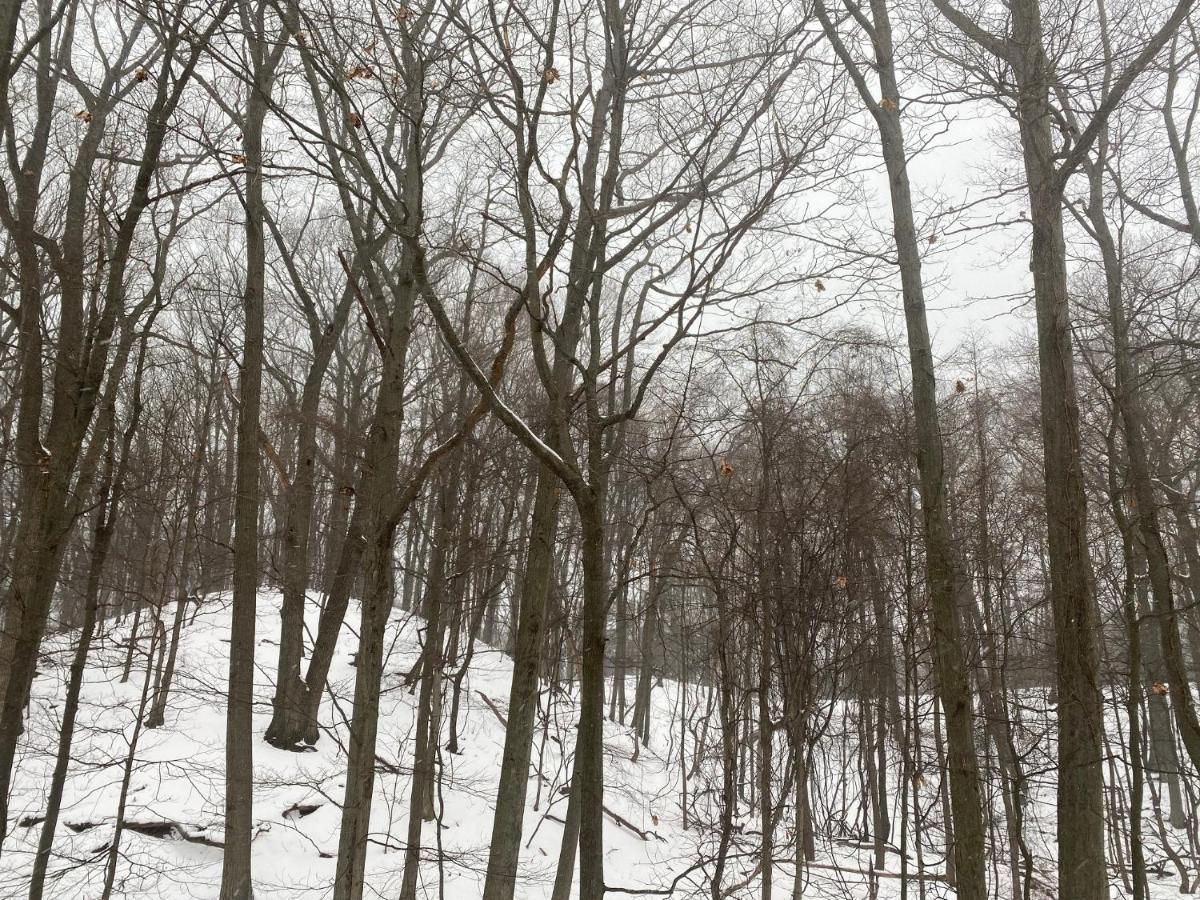 The Sanctuary At Deer Dune , Saugatuck Exterior photo